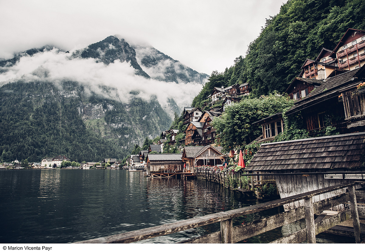 Trek Safari - King Dachstein Trail pro běžce 28